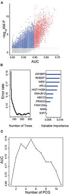 Development of a Prognostic Five-Gene Signature for Diffuse Lower-Grade Glioma Patients